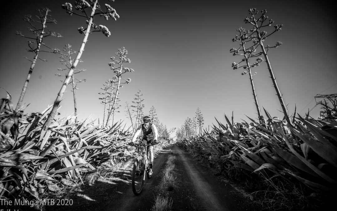 EV_20201203_00016